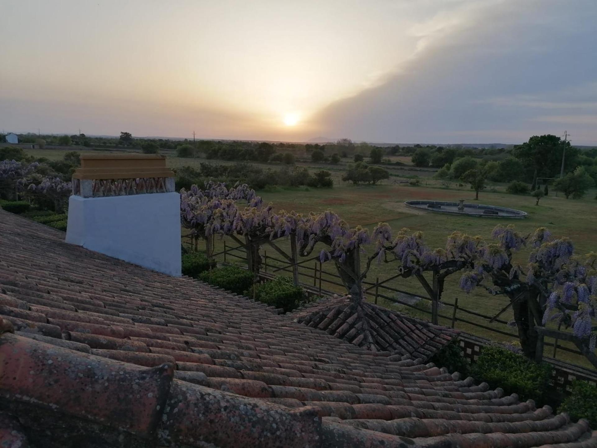 Quinta Do Casalinho - Benfica Do Ribatejo Villa Eksteriør billede