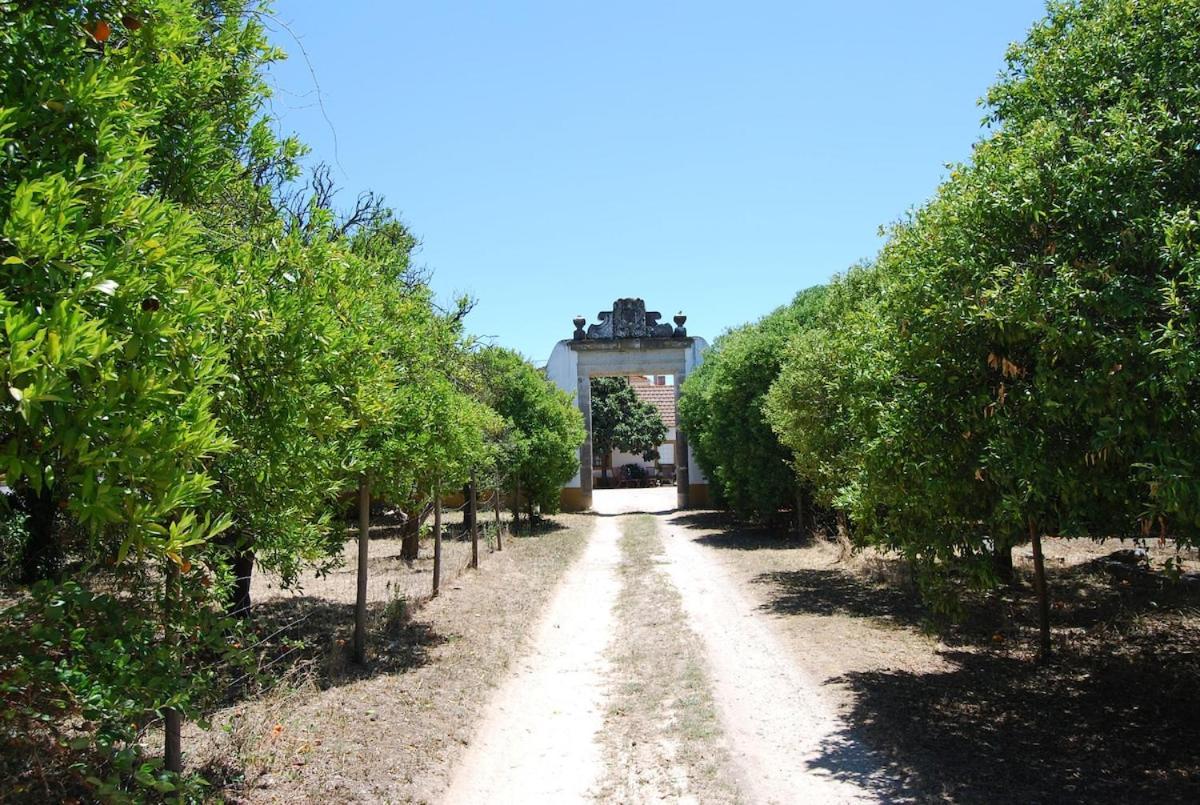 Quinta Do Casalinho - Benfica Do Ribatejo Villa Eksteriør billede
