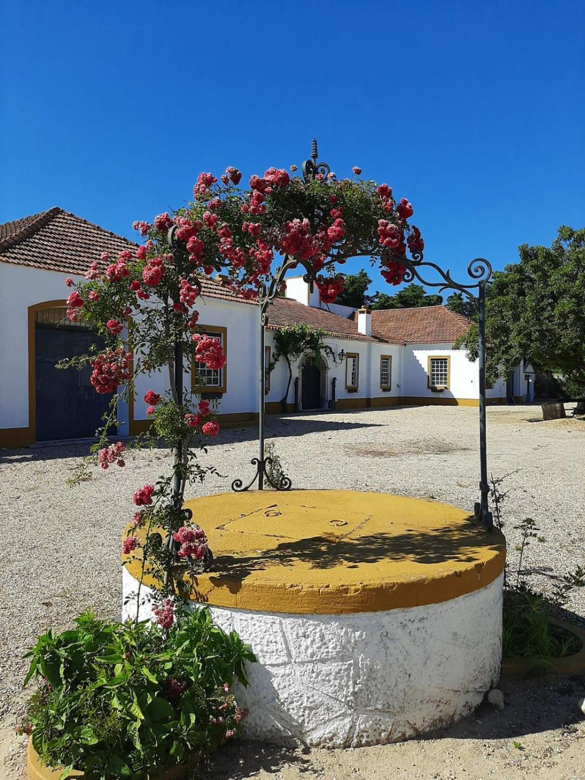 Quinta Do Casalinho - Benfica Do Ribatejo Villa Eksteriør billede